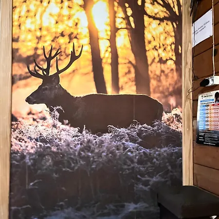 U Cekusa Konukevi 3*